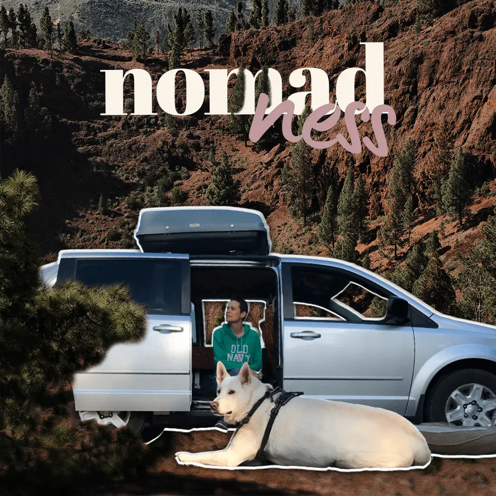 Lire la suite à propos de l’article S’expatrier et découvrir le Québec en van, avec Carole et Gaïa